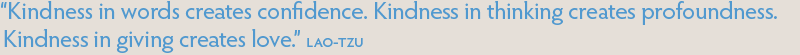 Kindness in words creates confidence. Kindness in thinking creates profoundness. Kindness in giving creates love.  [Lao-Tzu]